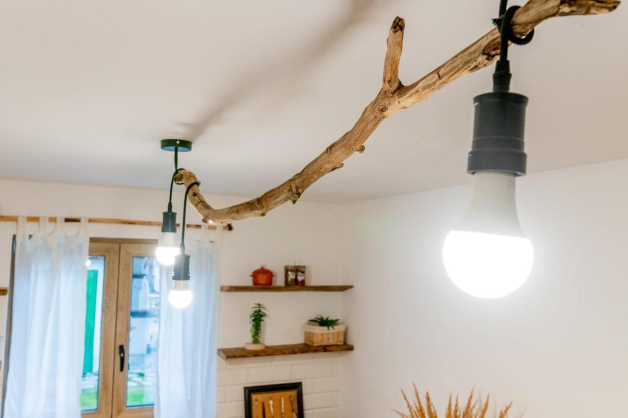 Poieni 39 Villa Poienile Izei Ngoại thất bức ảnh